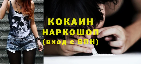 скорость Новозыбков