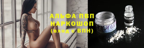 дмт Новокубанск