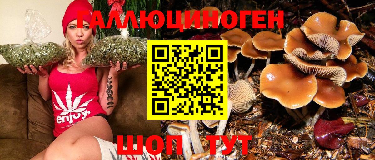 Галлюциногенные грибы MAGIC MUSHROOMS Дзержинск