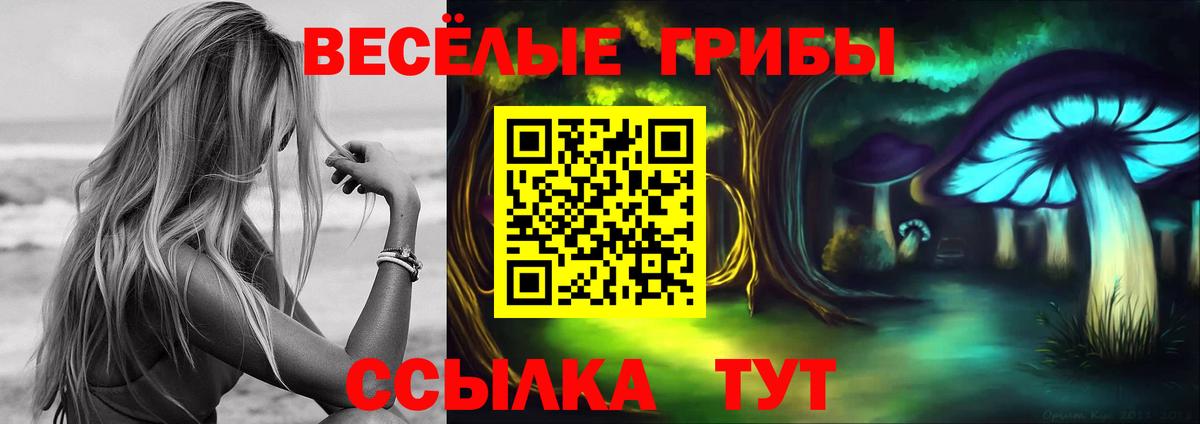 Галлюциногенные грибы Psilocybine cubensis  Псилоцибиновые грибы MAGIC MUSHROOMS  Вход с VPN  хочу наркоту  Дзержинск 